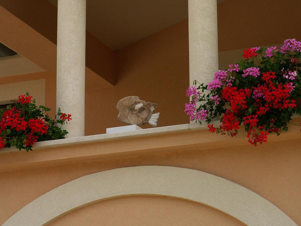 Apartments Villa Bartol Pula Pokoj fotografie